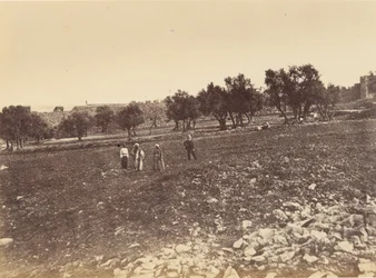 Panoramablick auf die Stadt - Gesamtansicht der Stadt von Norden